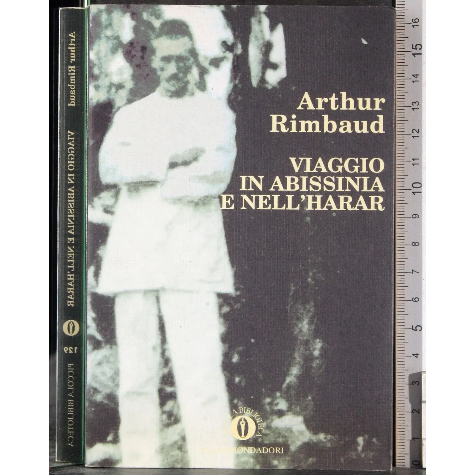 Viaggio in Abissinia e nell'harar
