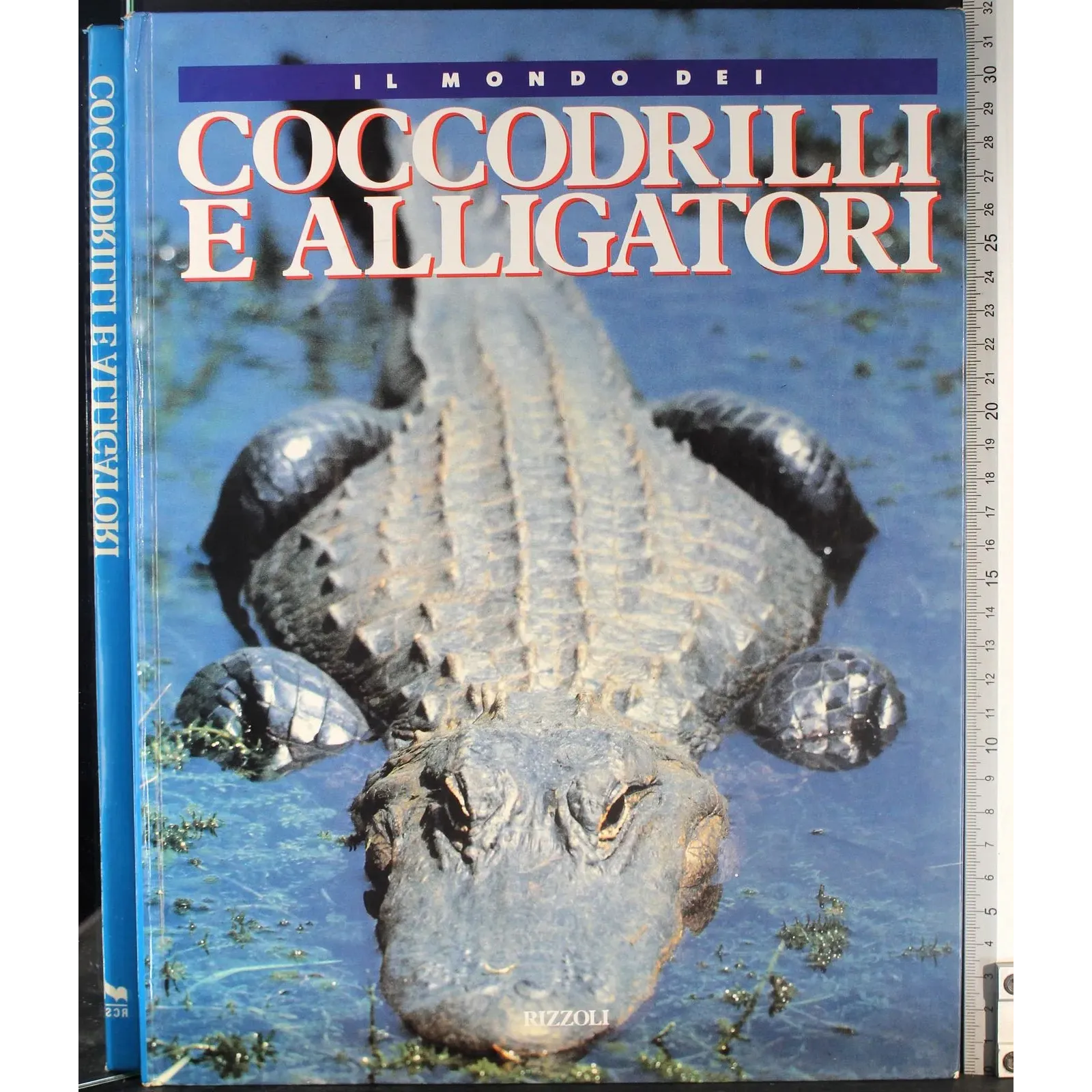 Il mondo dei coccodrilli e alligatori