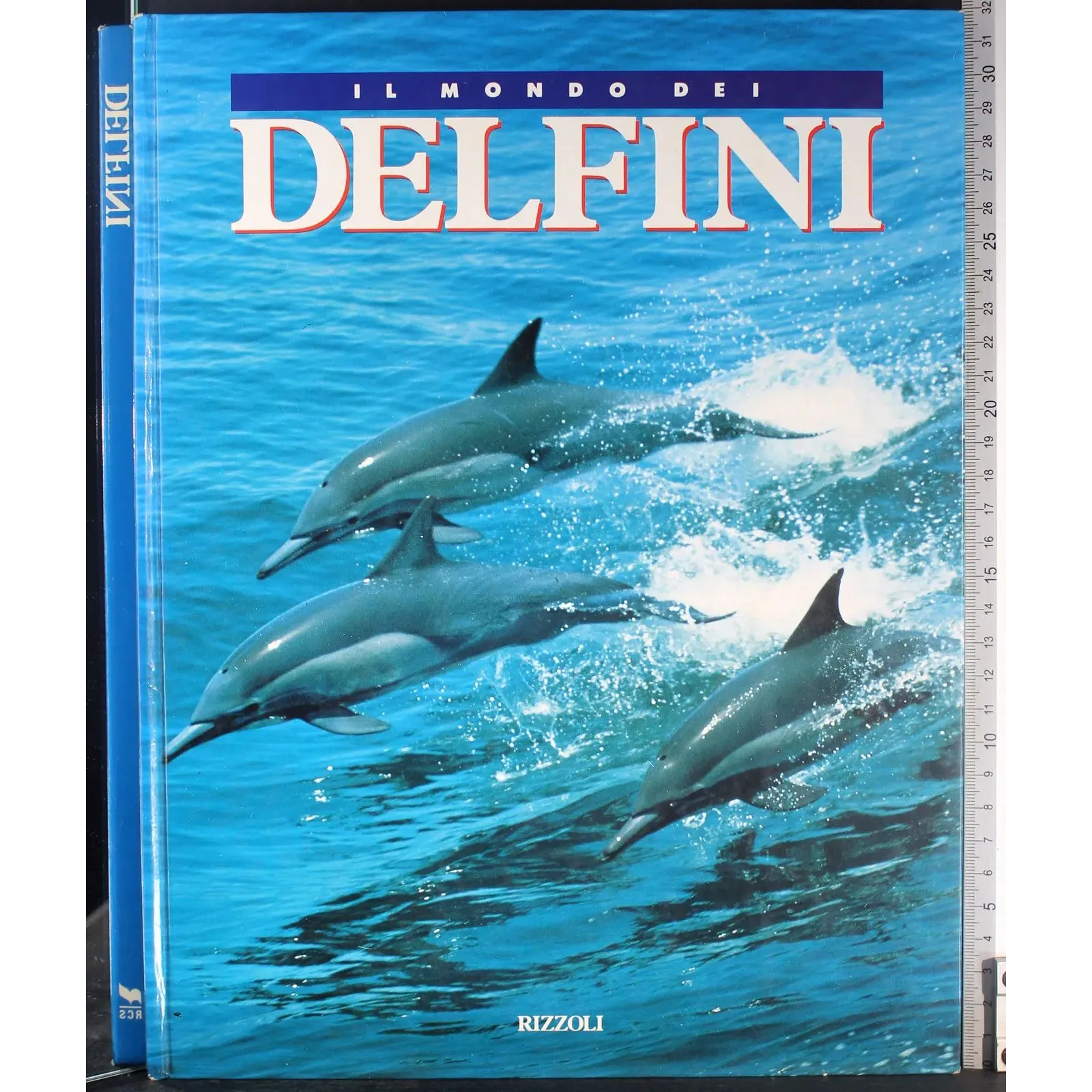 Il mondo dei delfini