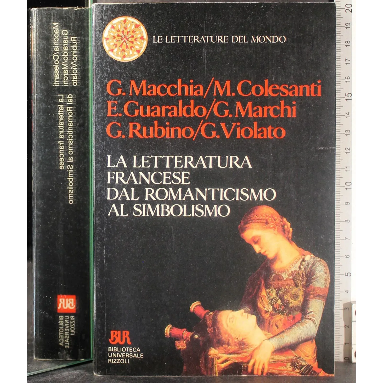 Letteratura francese dal romanticismo al simbolismo