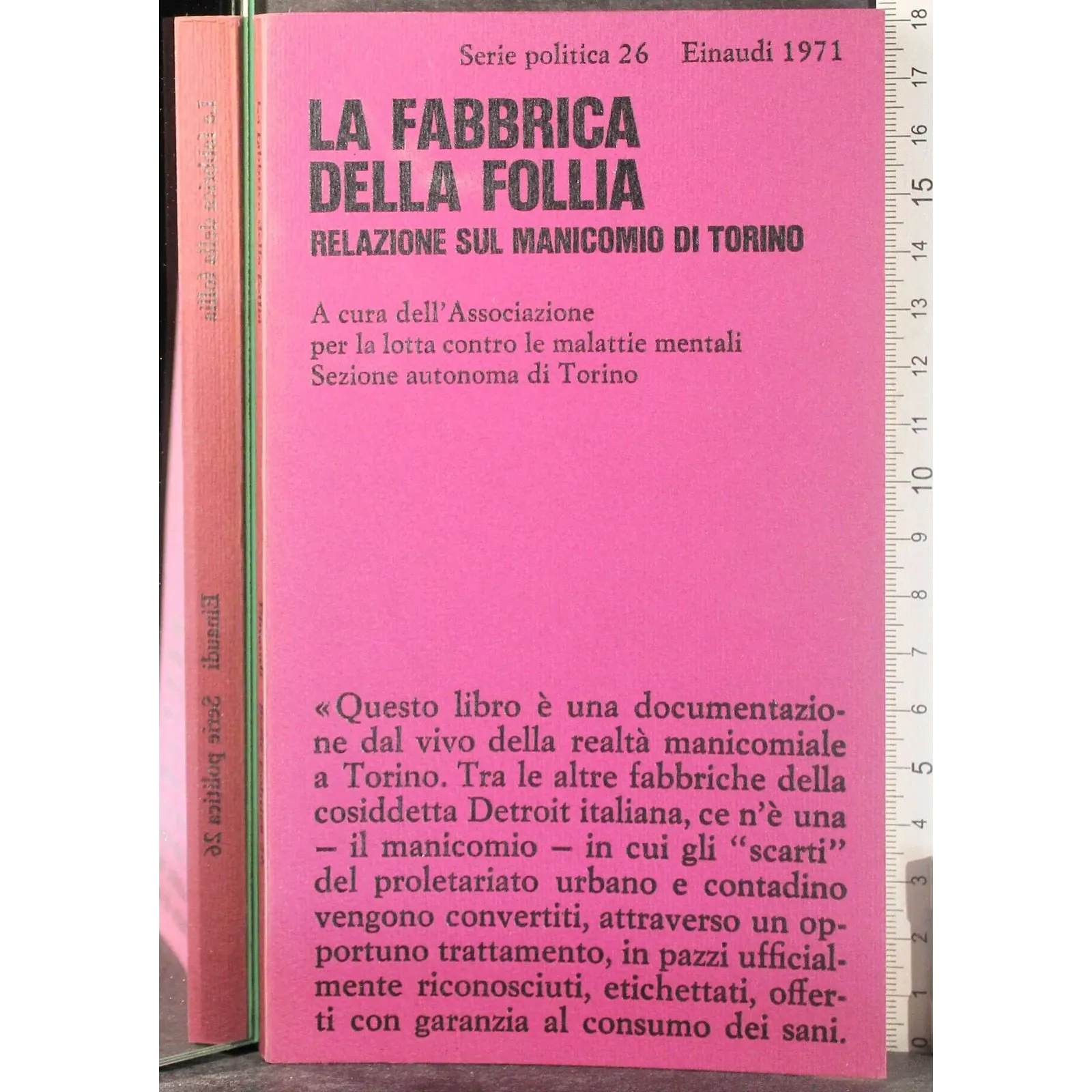 La fabbrica della follia
