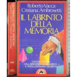 Il labirinto della memoria