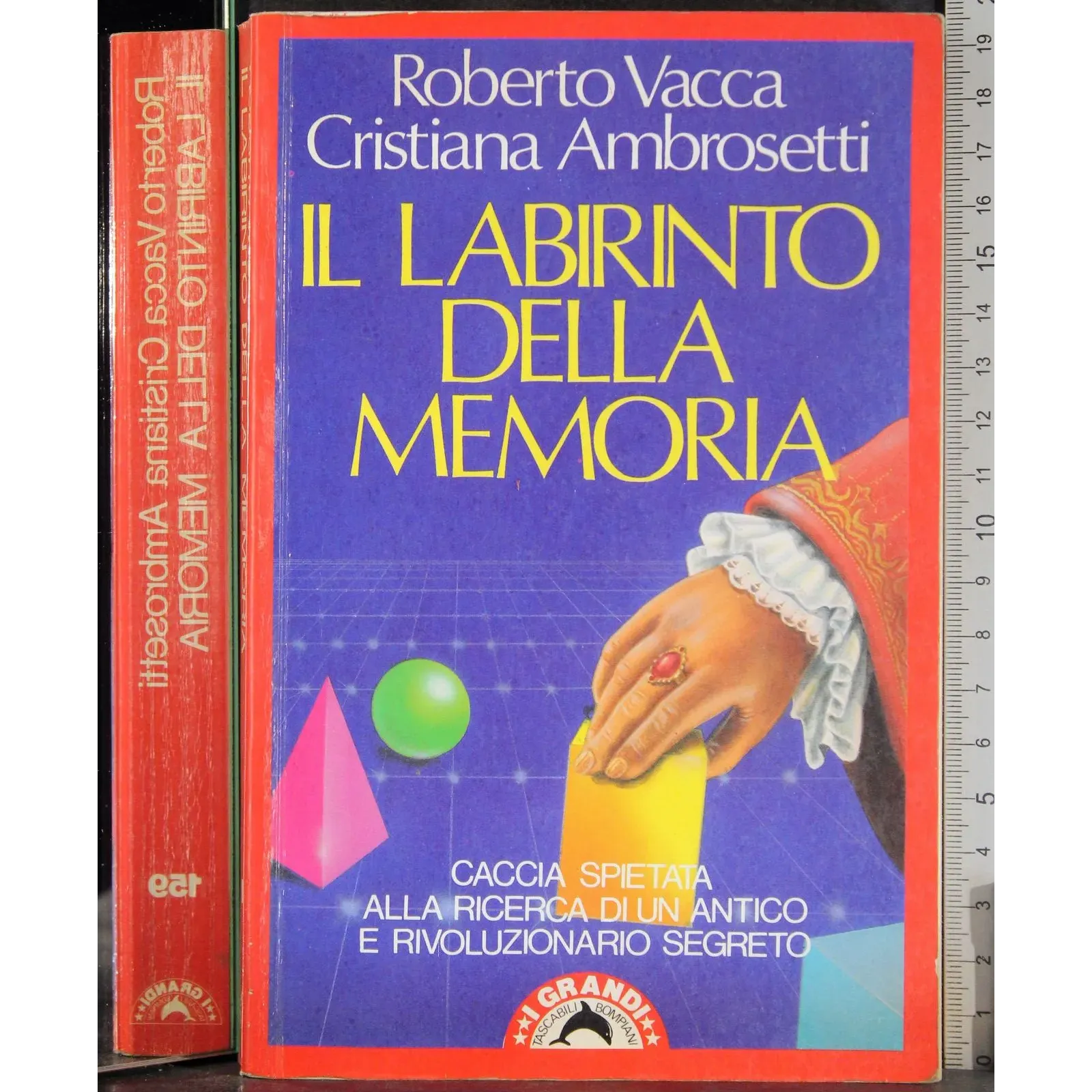 Il labirinto della memoria