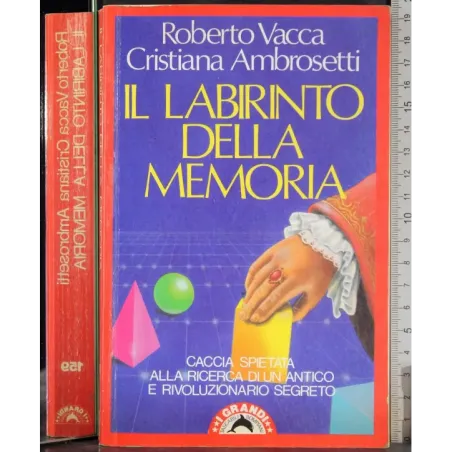 Il labirinto della memoria