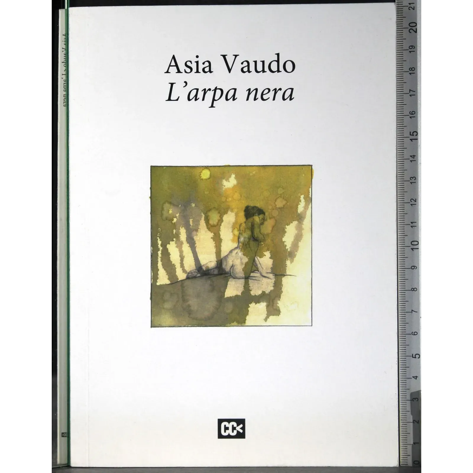L'arpa nera