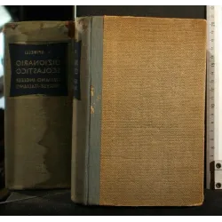 DIZIONARIO SCOLASTICO ITALIANO-INGLESE INGLESE-ITALIANO