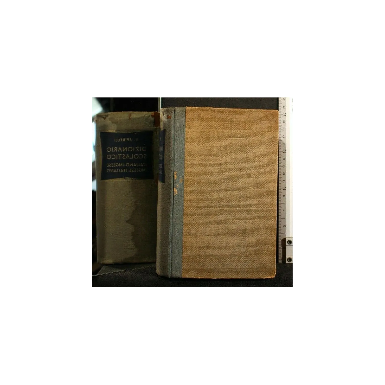 DIZIONARIO SCOLASTICO ITALIANO-INGLESE INGLESE-ITALIANO