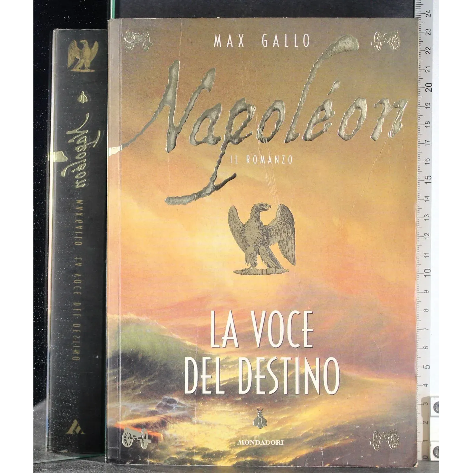 Napoleon. La voce del destino