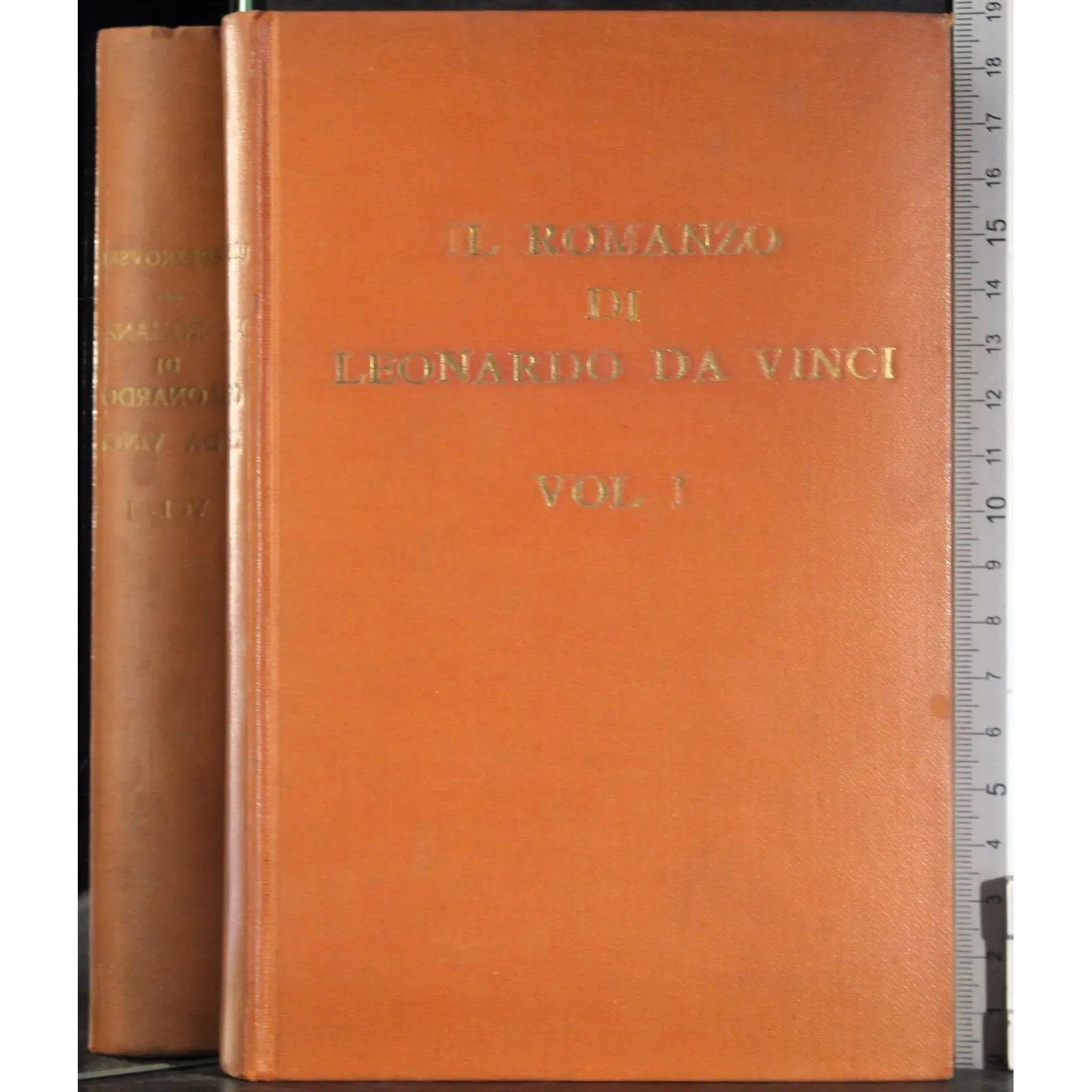 Il romanzo di Leonardo Da Vinci. Vol 1