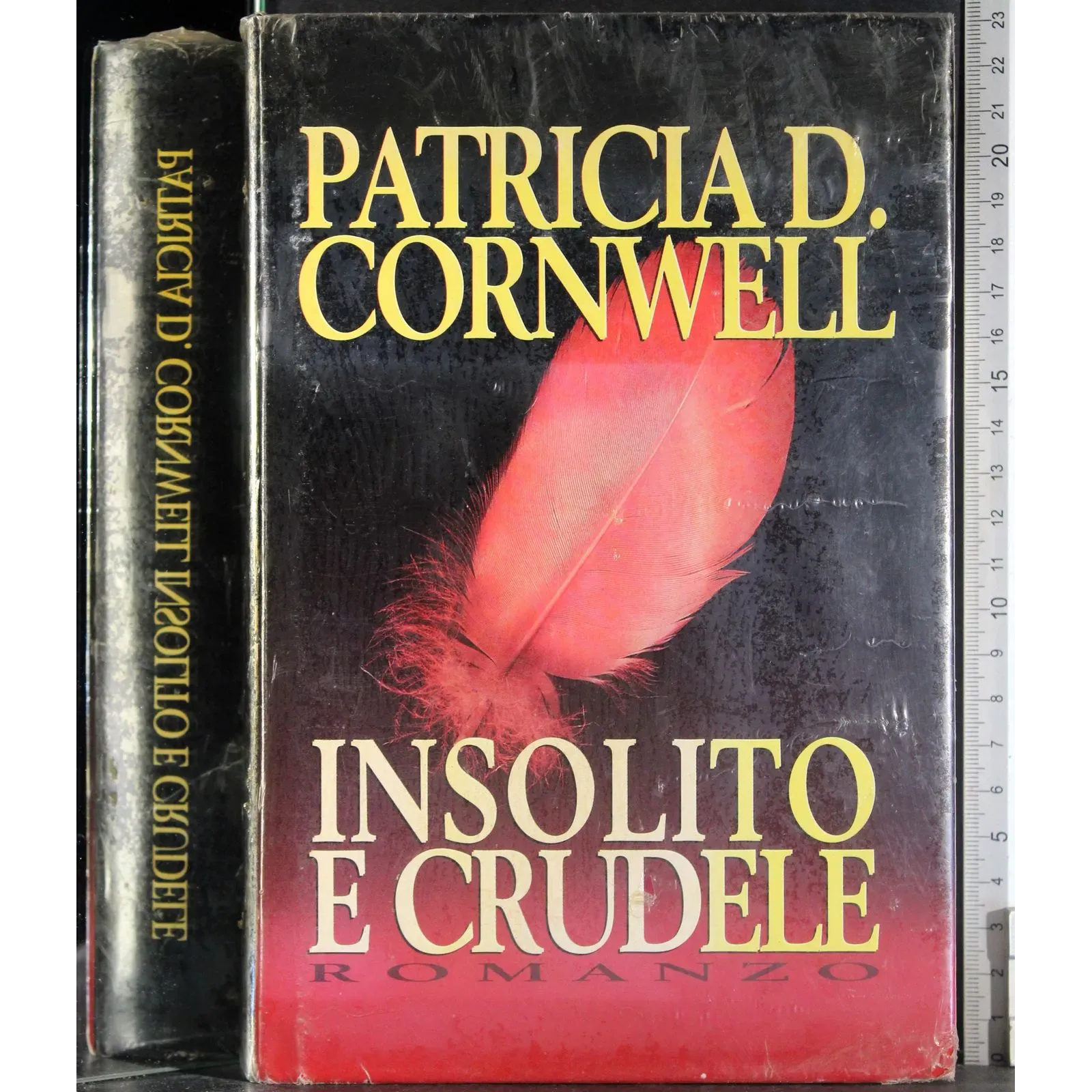 Insolito e crudele