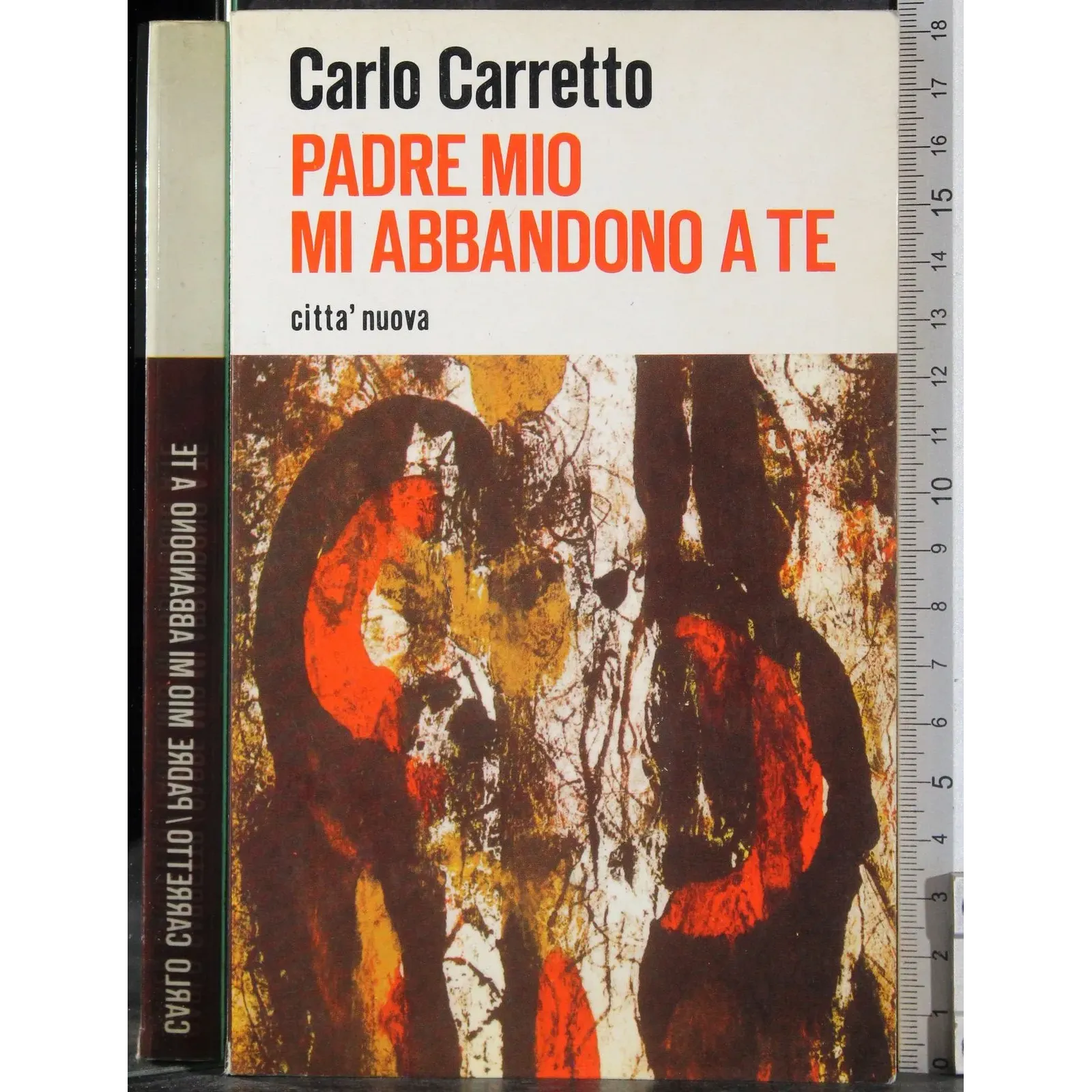Padre mio mi abbandono a te