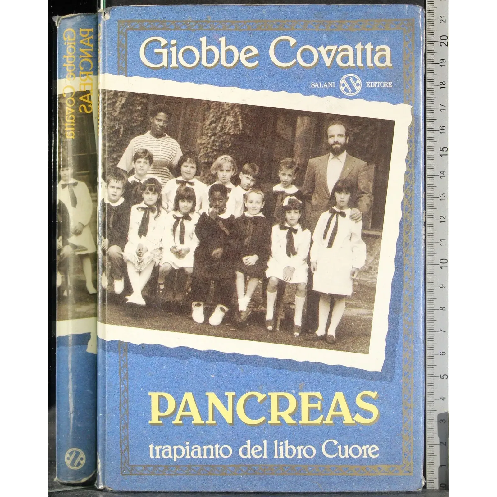 Pancreas