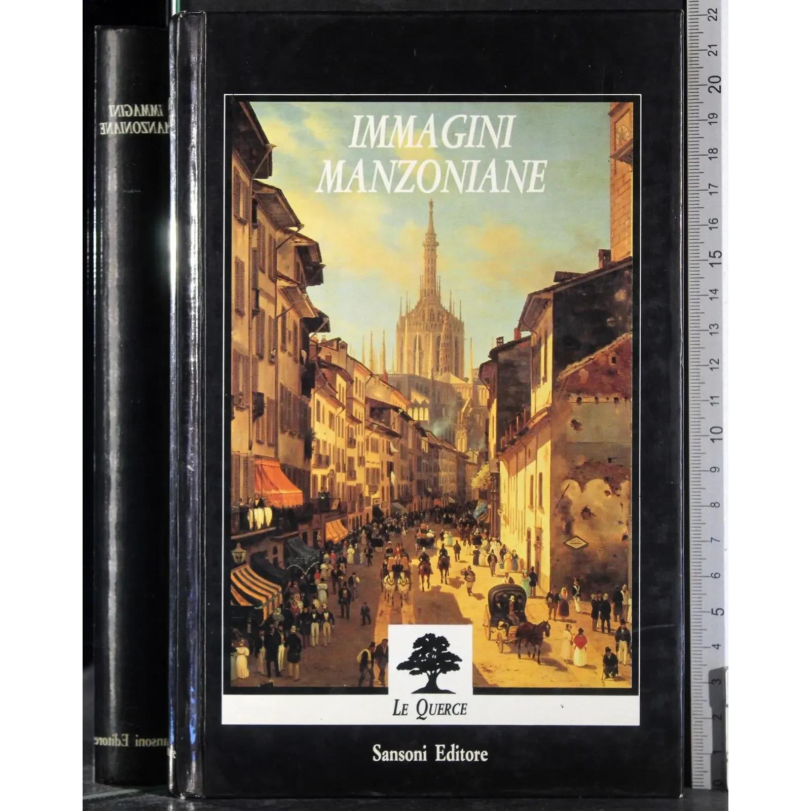 Immagini MANZONIANE