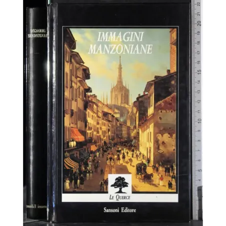 Immagini MANZONIANE