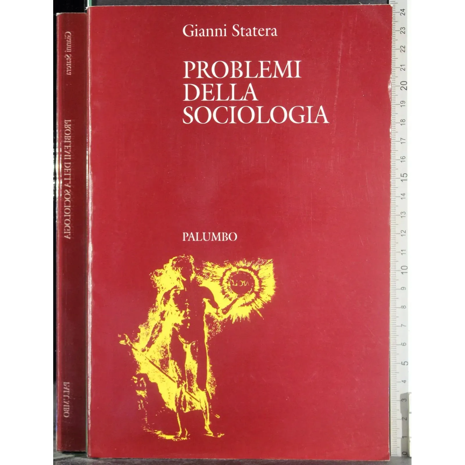 Problemi della sociologia