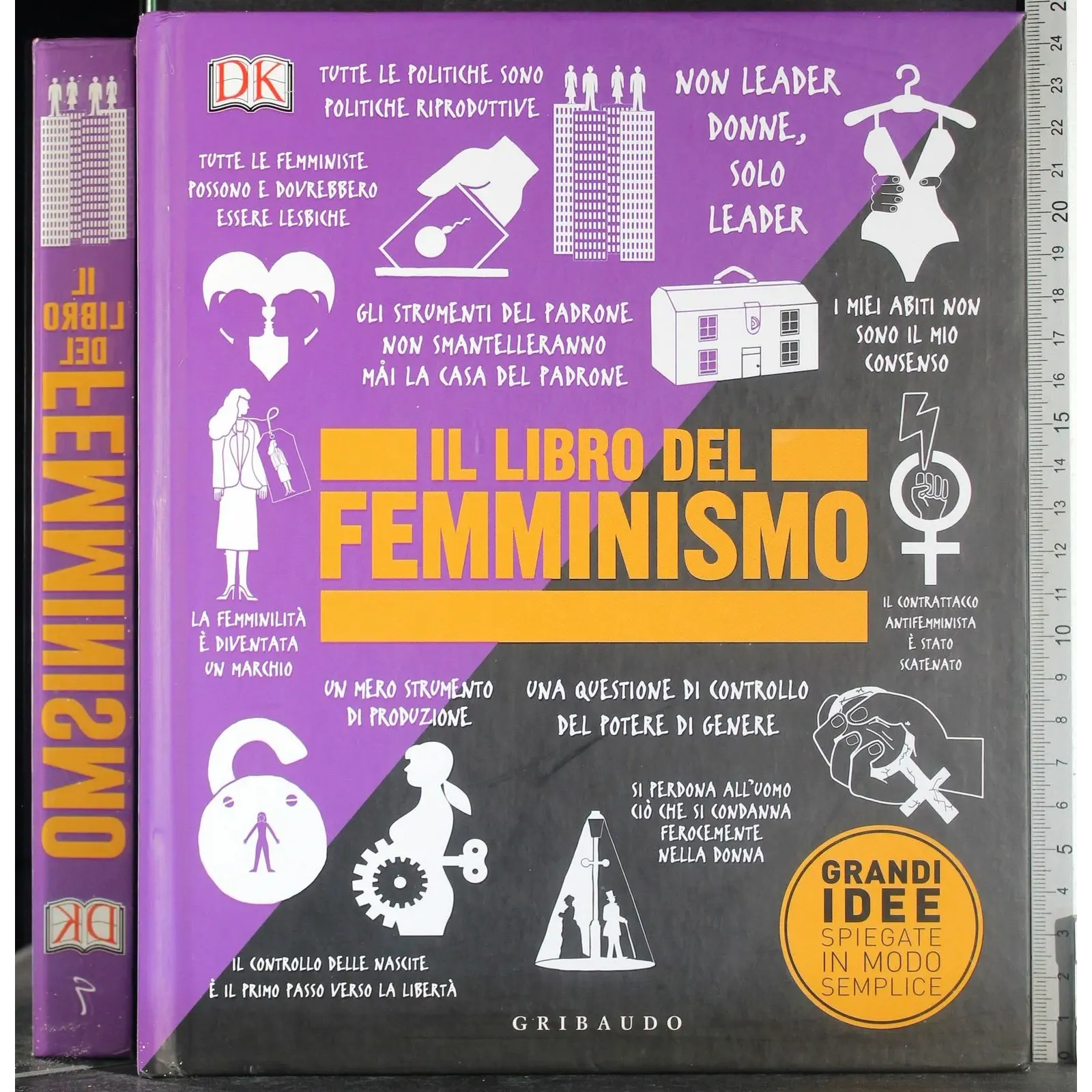 Il libro del femminismo