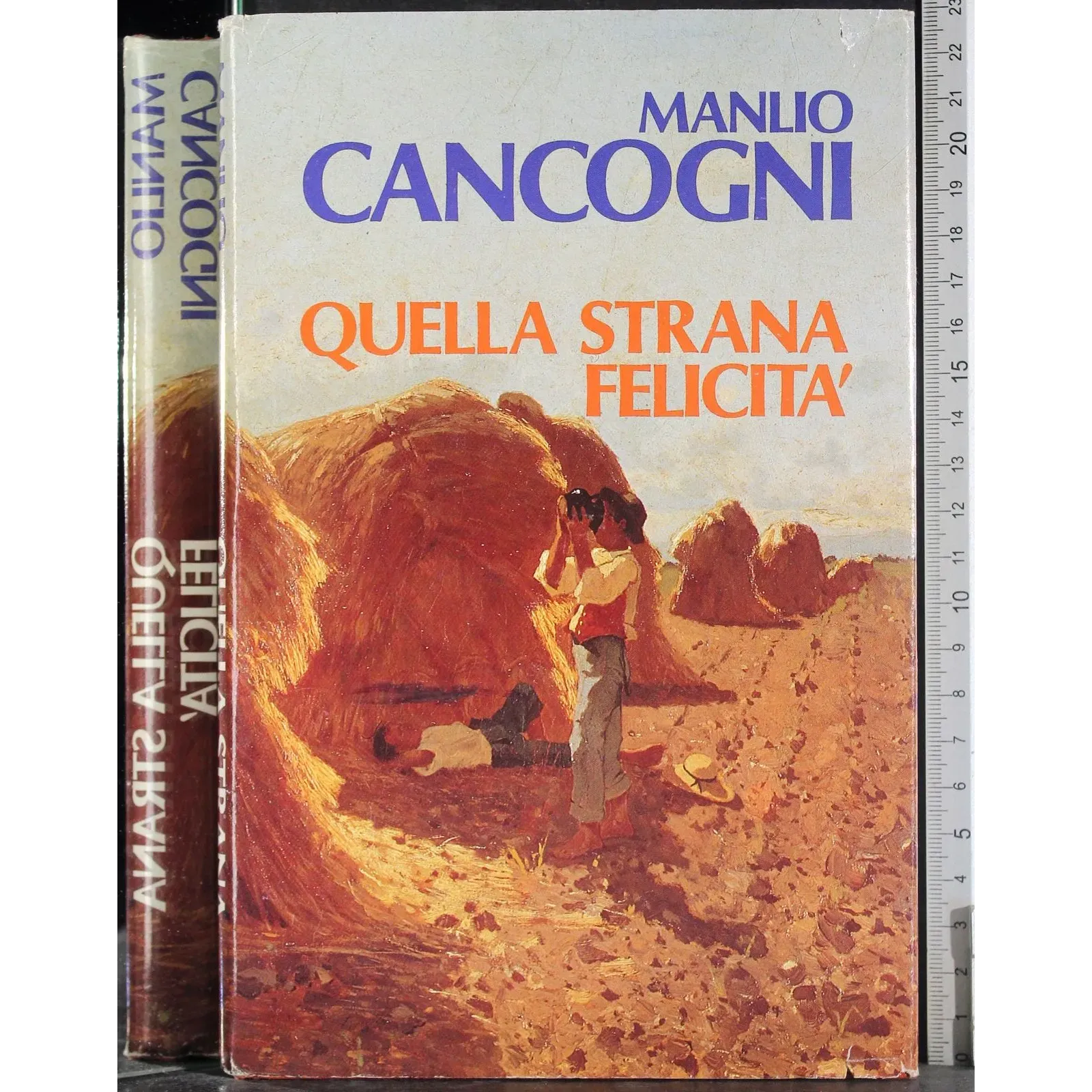 Quella strana felicità