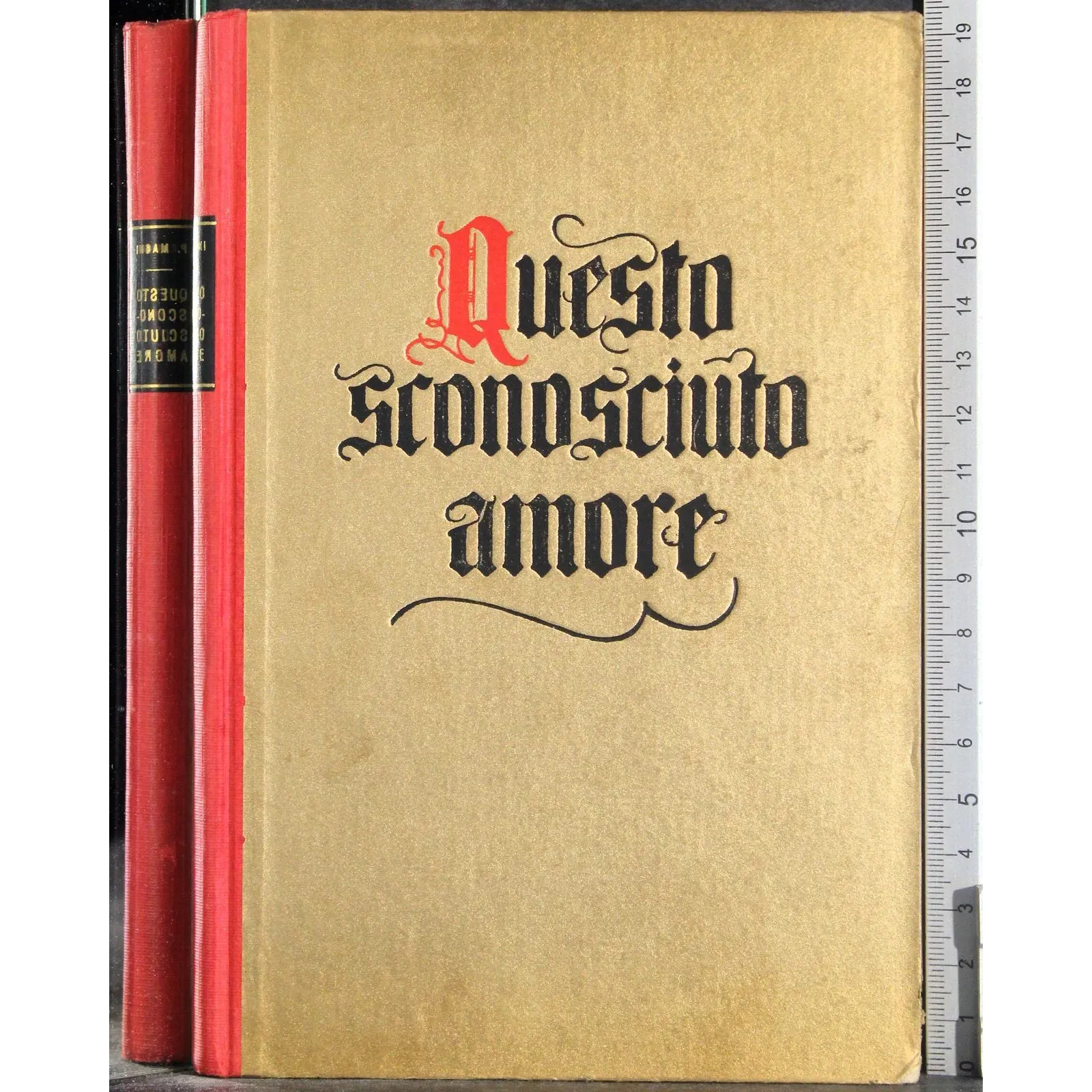 Questo sconosciuto amore