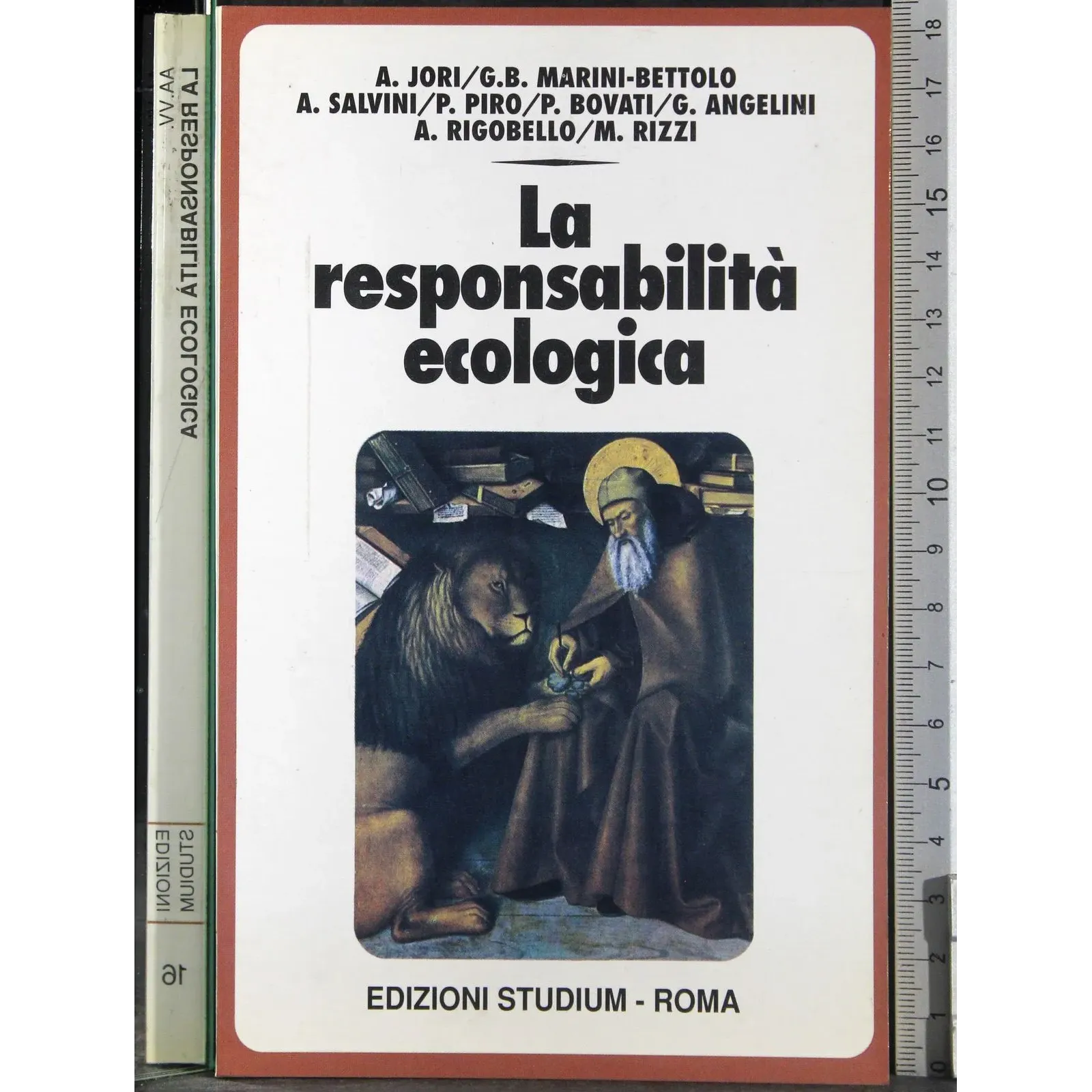La responsabilità ecologica