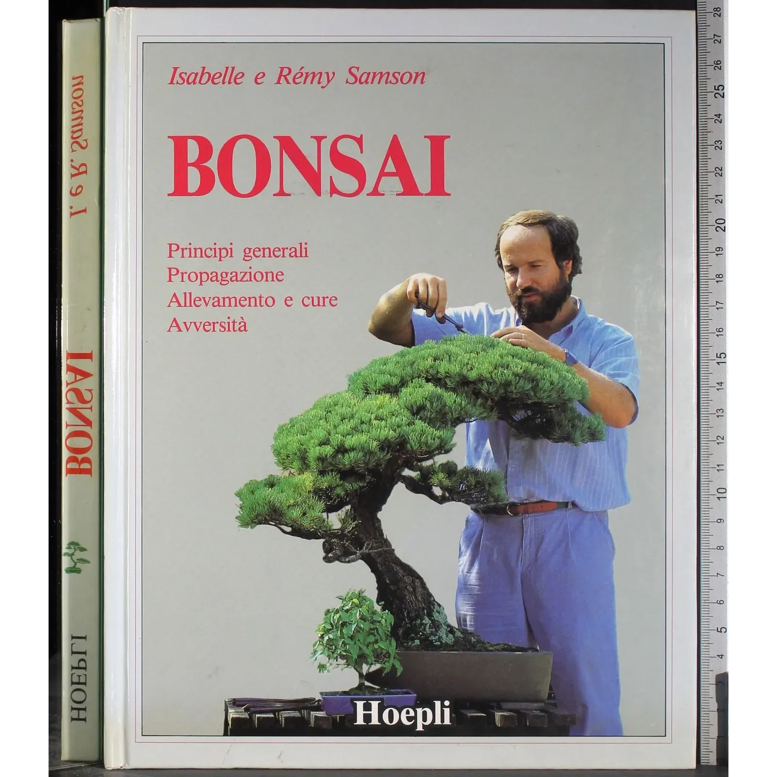 Bonsai