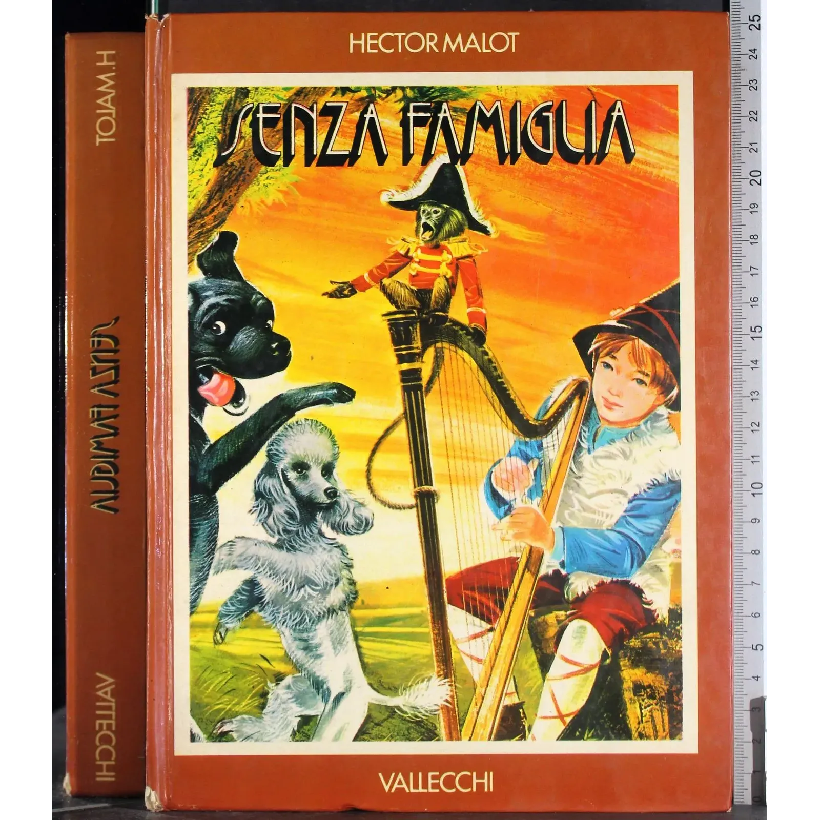 Senza famiglia