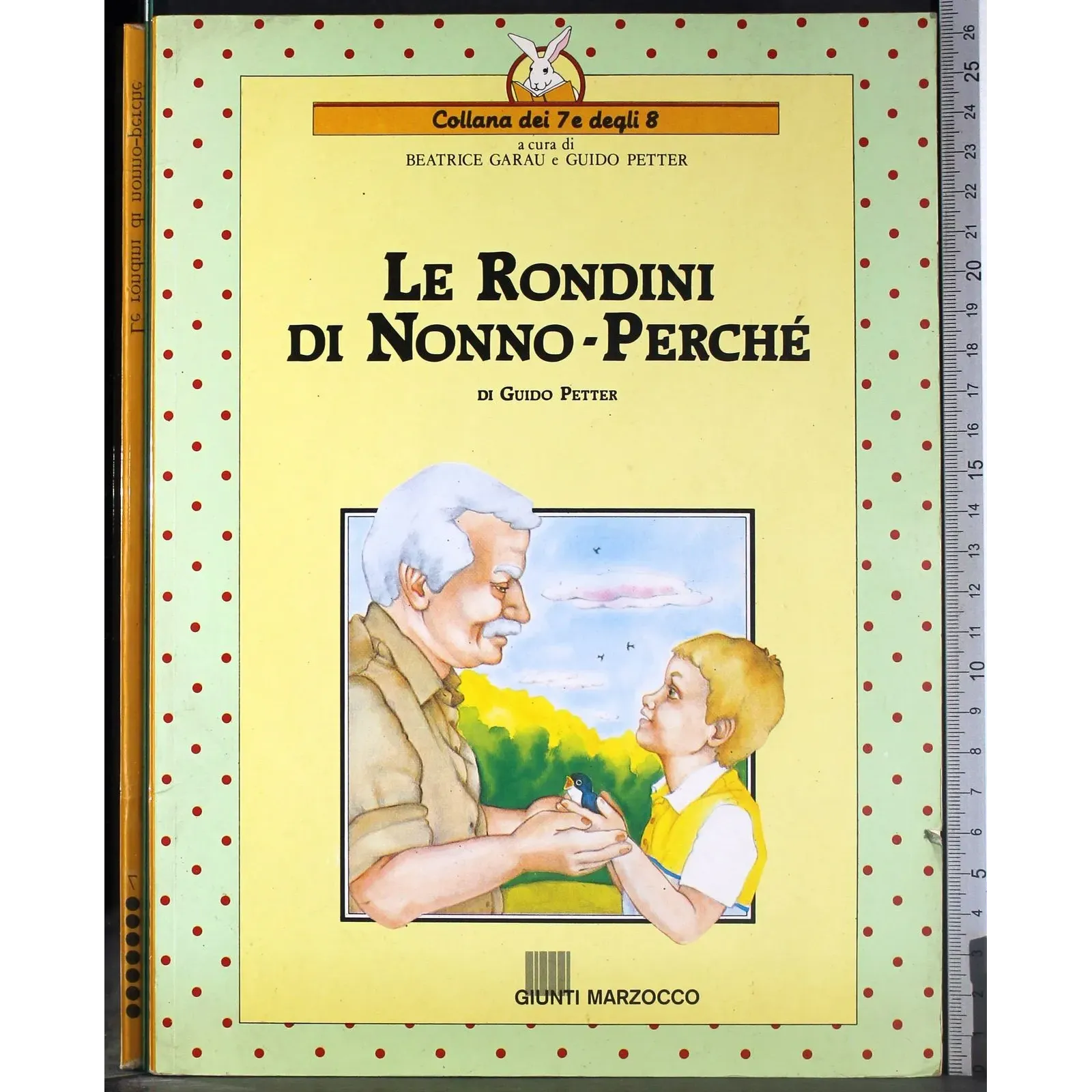Le rondini di Nonno Perché