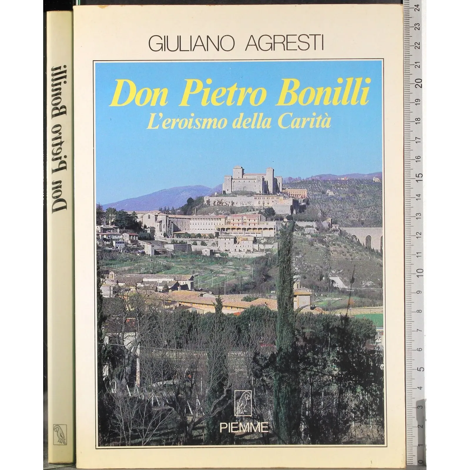 Don Pietro Bonilli. L'eroismo della carità