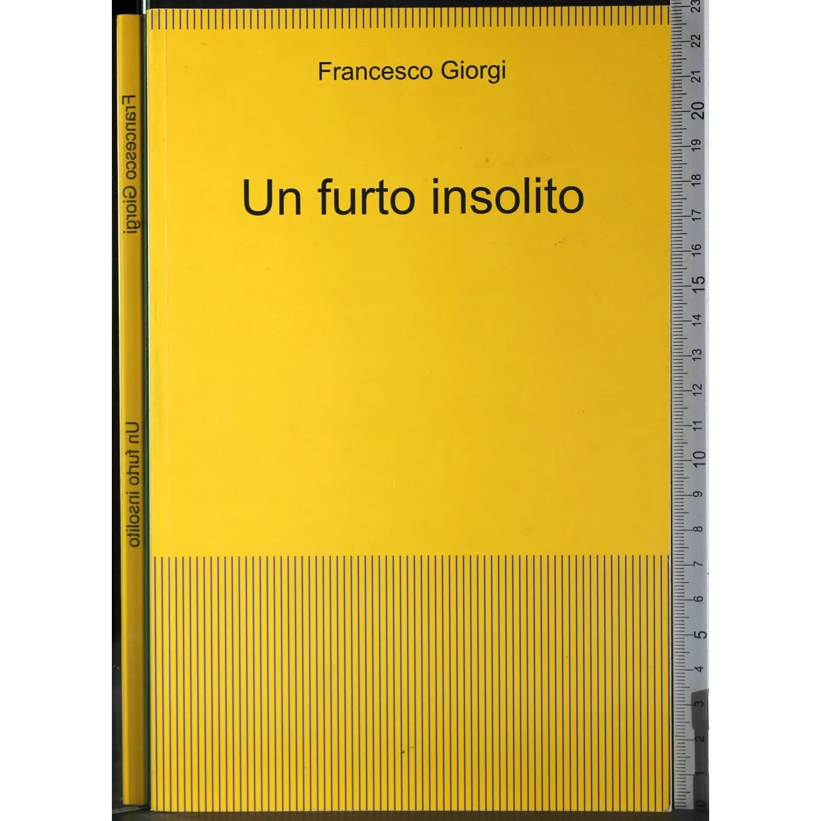 Un furto insolito