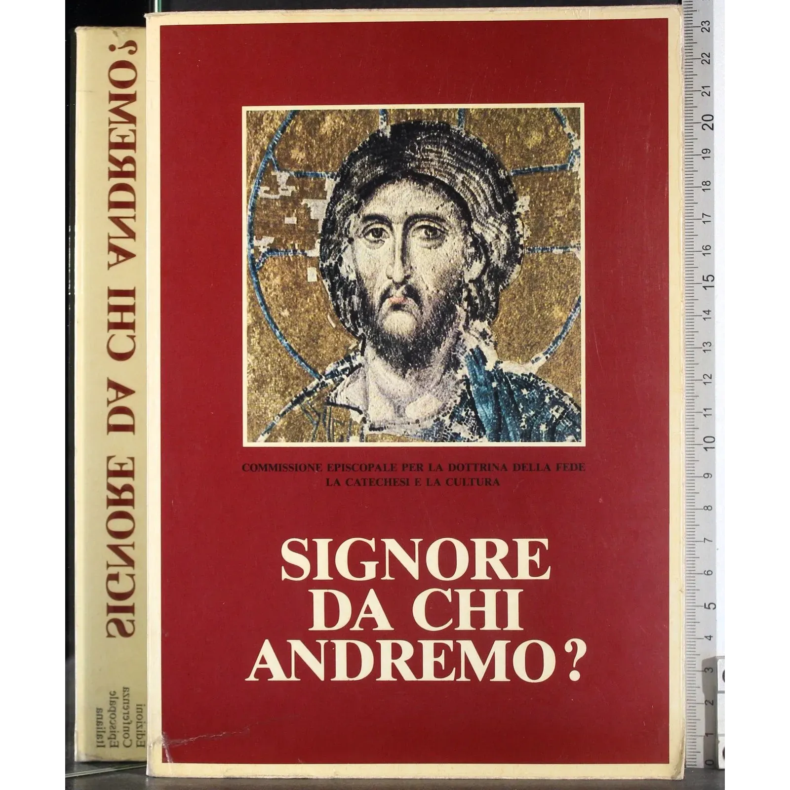 Signore da chi andremo?