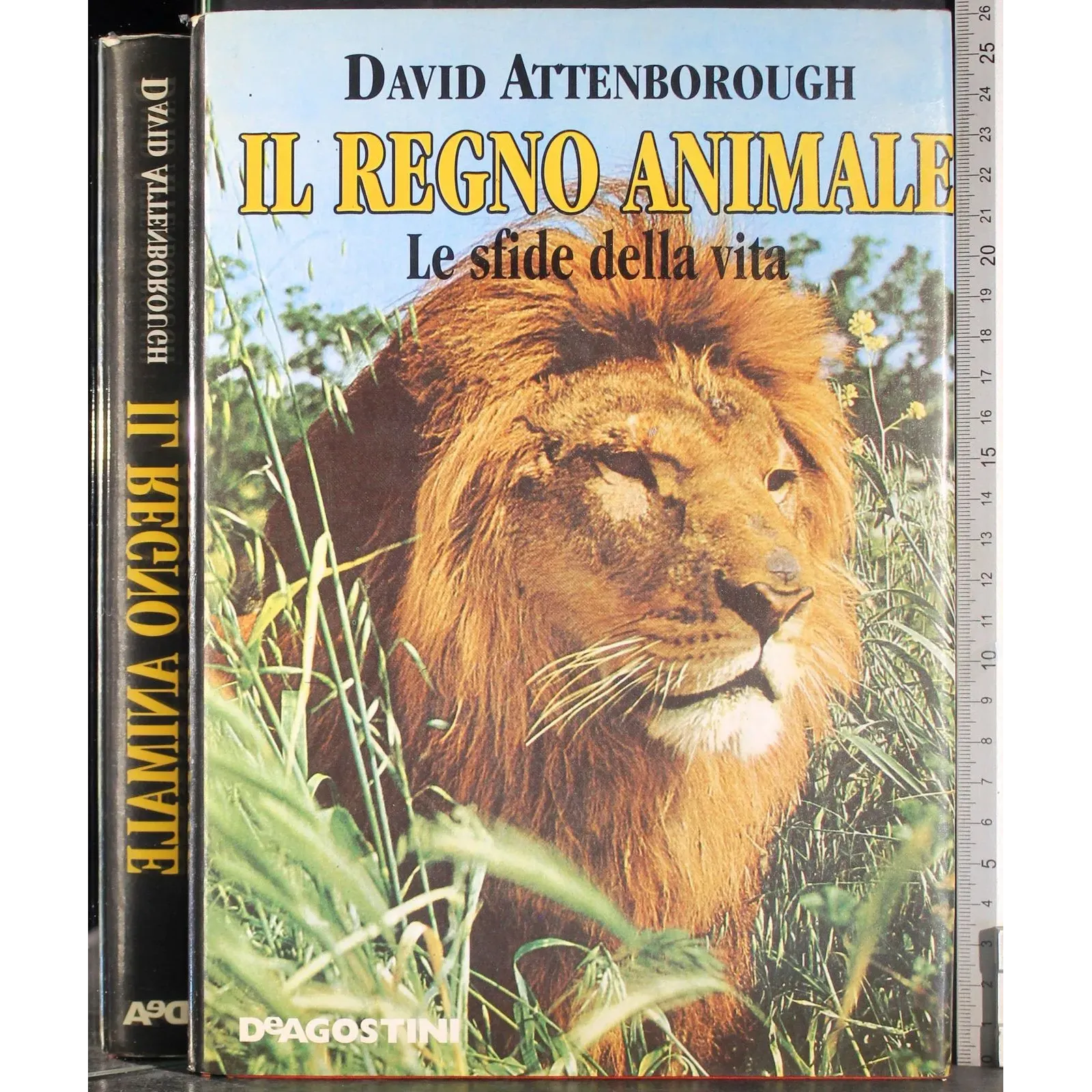 Il Regno animale