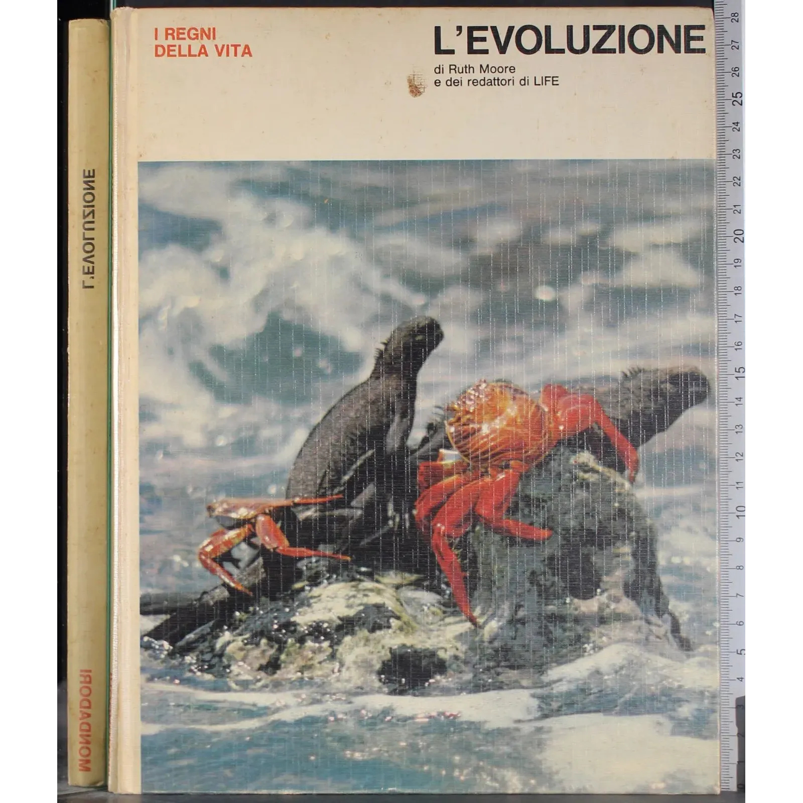 I regni della vita. L'evoluzione