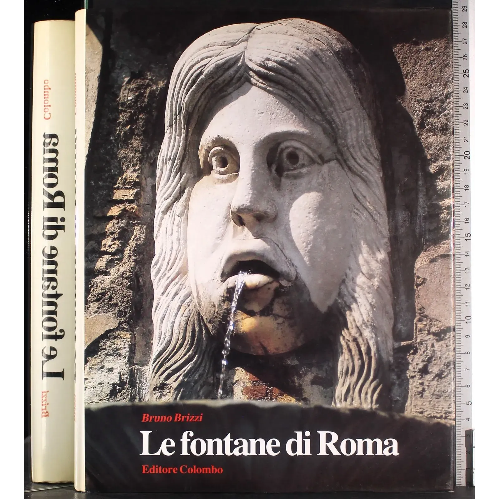 Le fontane di Roma