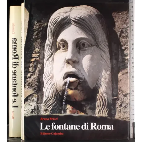 Le fontane di Roma