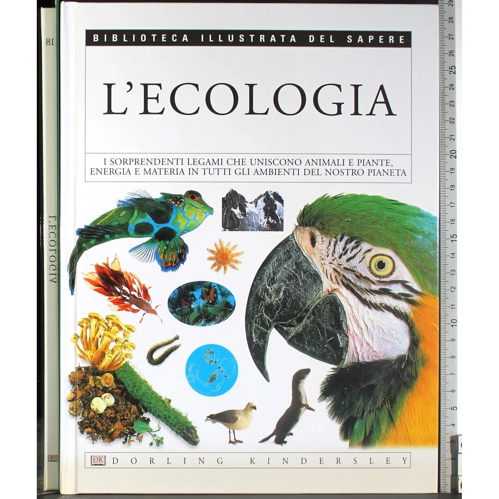 Biblioteca illustrata del Sapere 18. L'ecologia