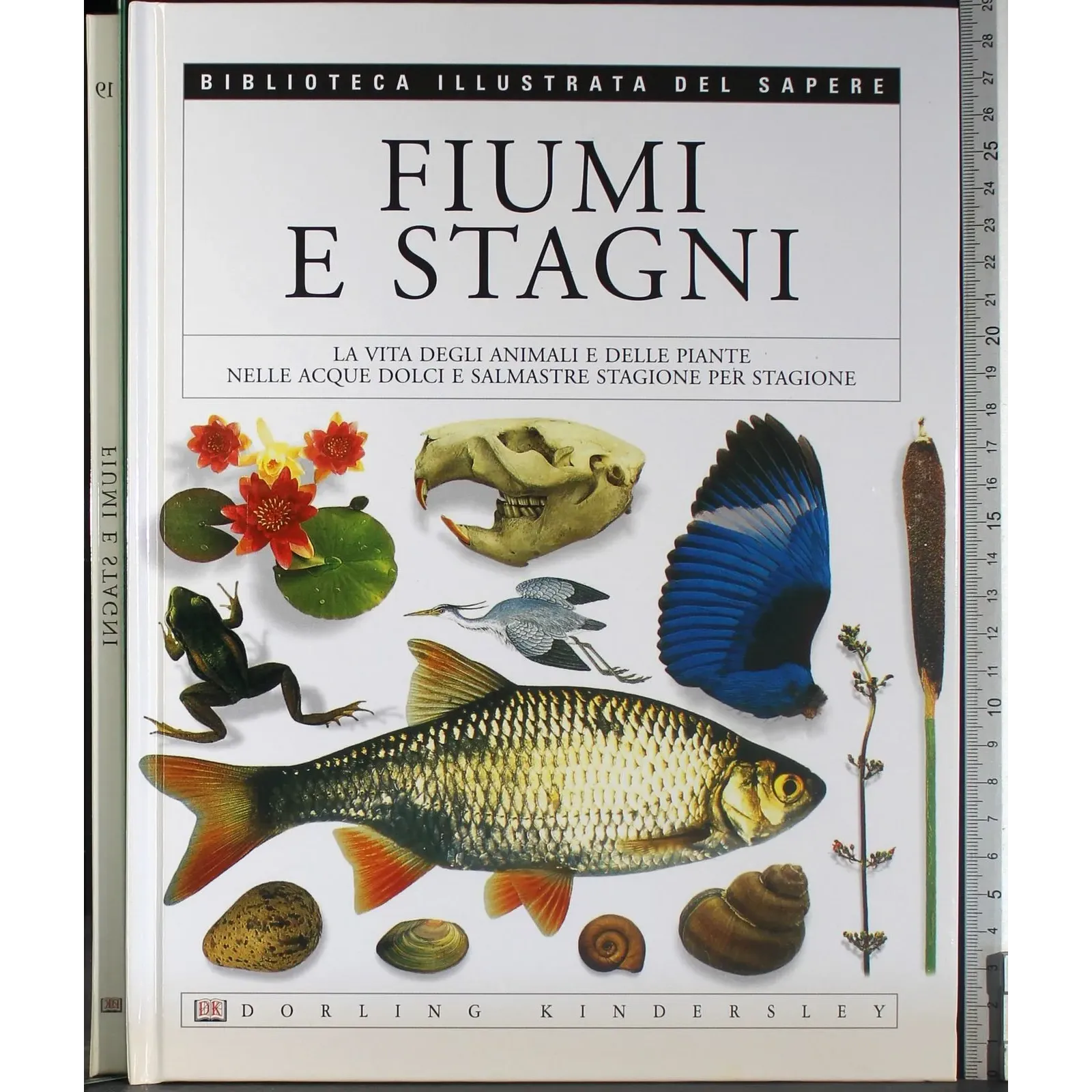 Biblioteca illustrata del Sapere 19. Fiumi e stagni