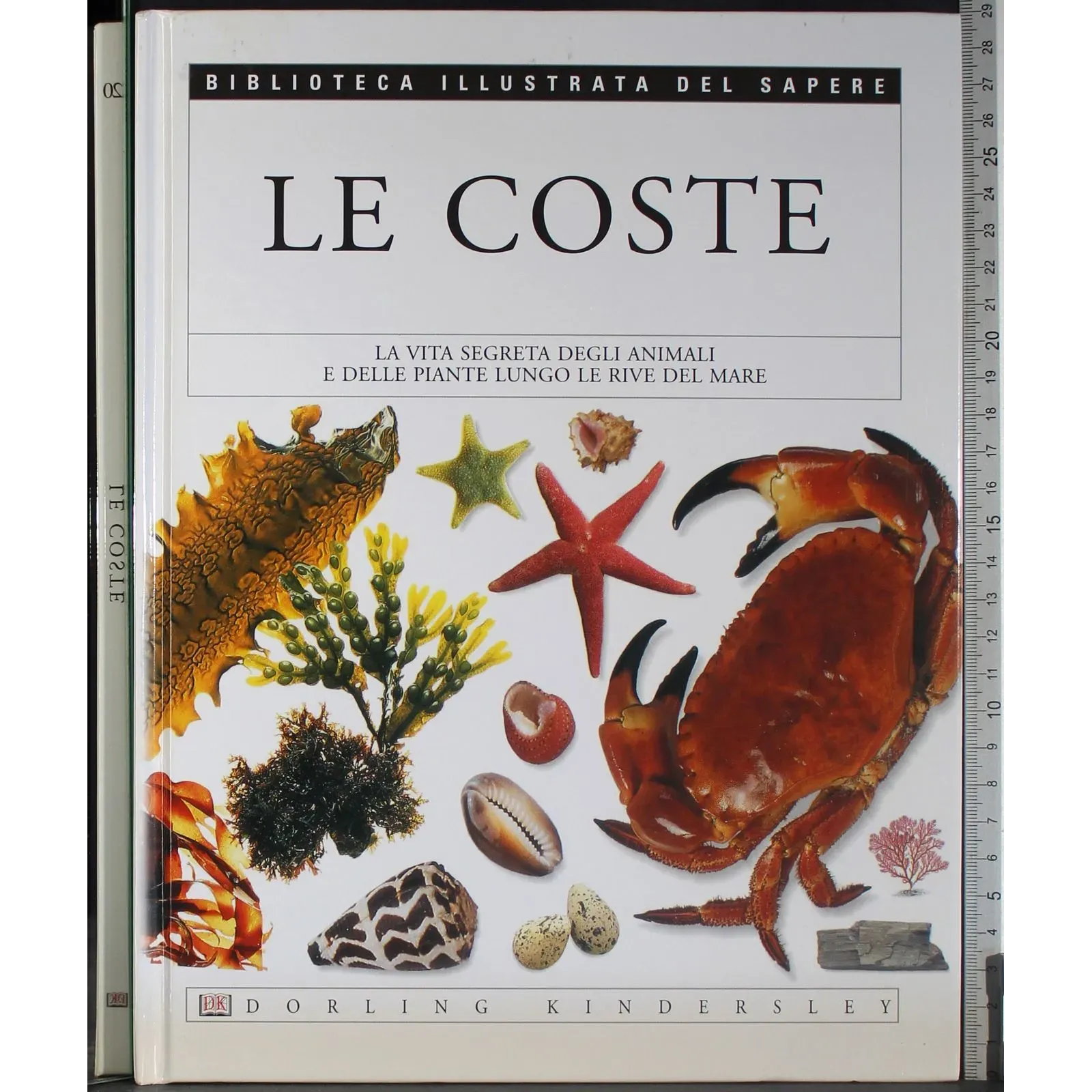 Biblioteca illustrata del Sapere 20. Le Coste
