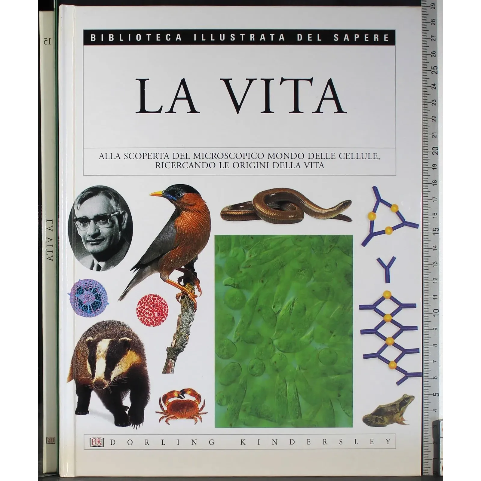 Biblioteca illustrata del Sapere 15. La Vita