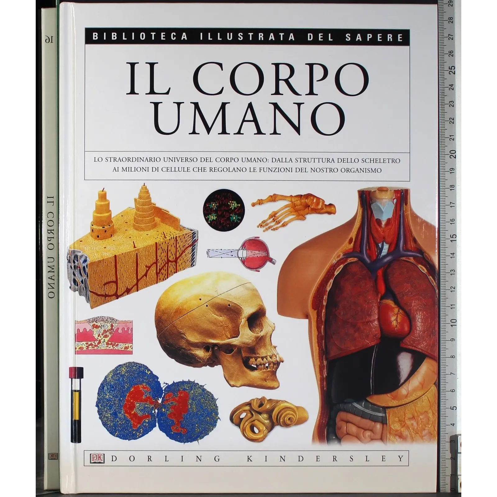 Biblioteca illustrata del sapere 16. Il corpo umano