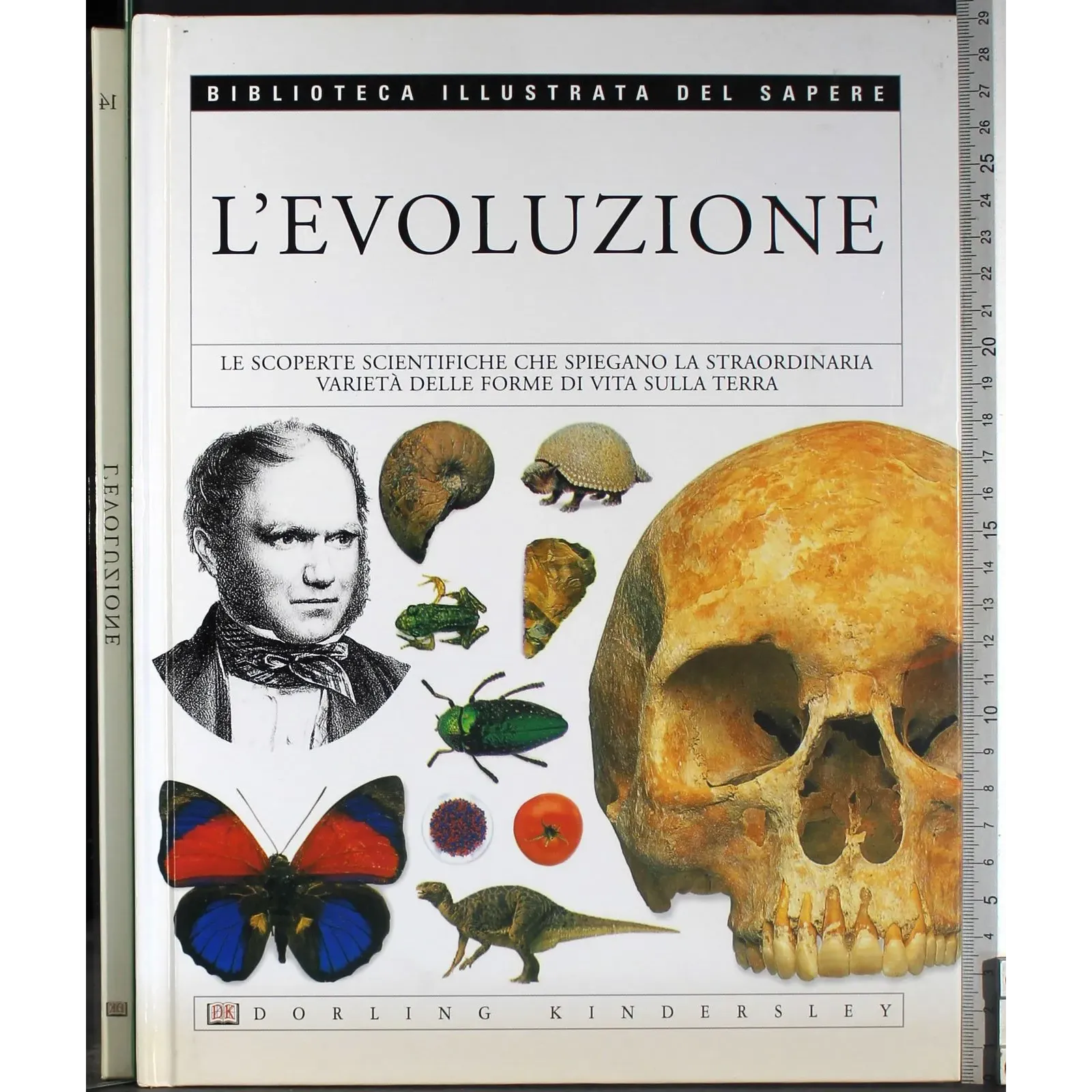 Biblioteca illustrata del sapere 14. L'evoluzione