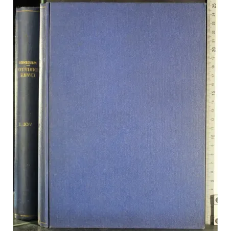 Manuale di diritto civile e commerciale. Vol 1