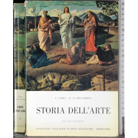 Storia dell'arte. Vol 2