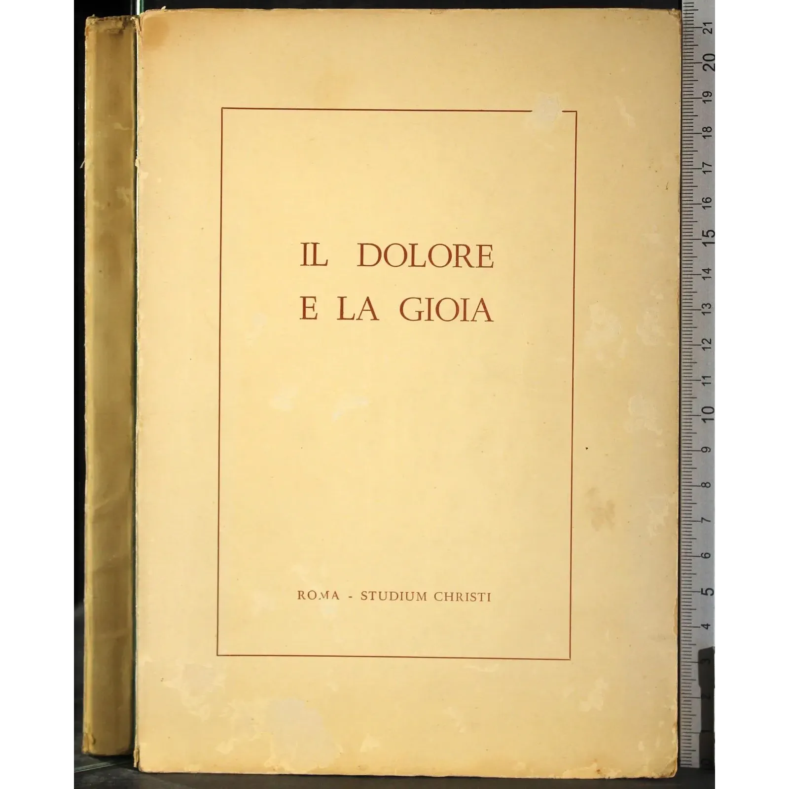 Il dolore e la gioia
