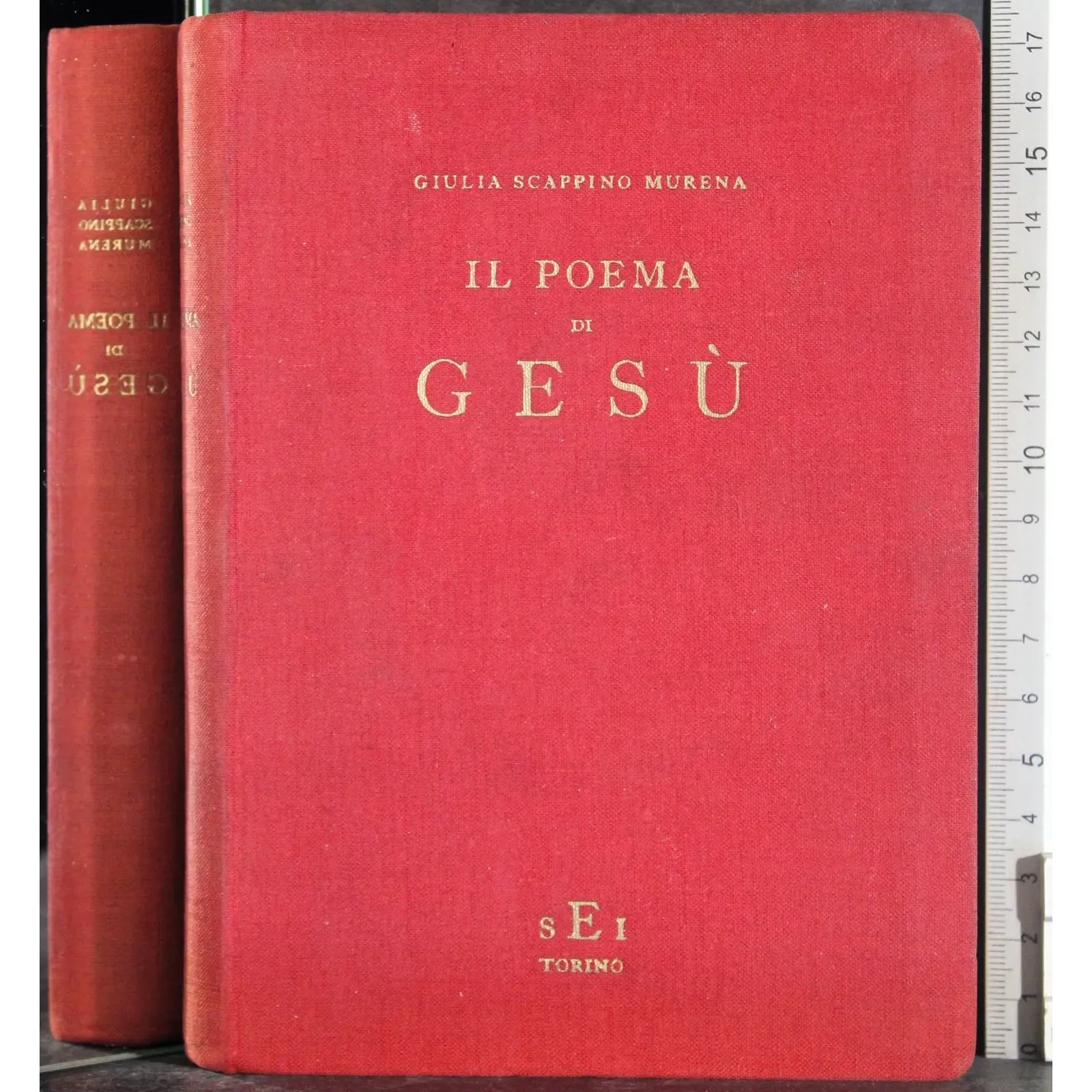 Il poema di Gesù