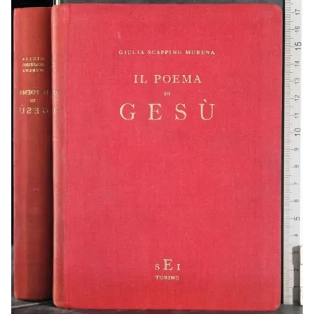 Il poema di Gesù