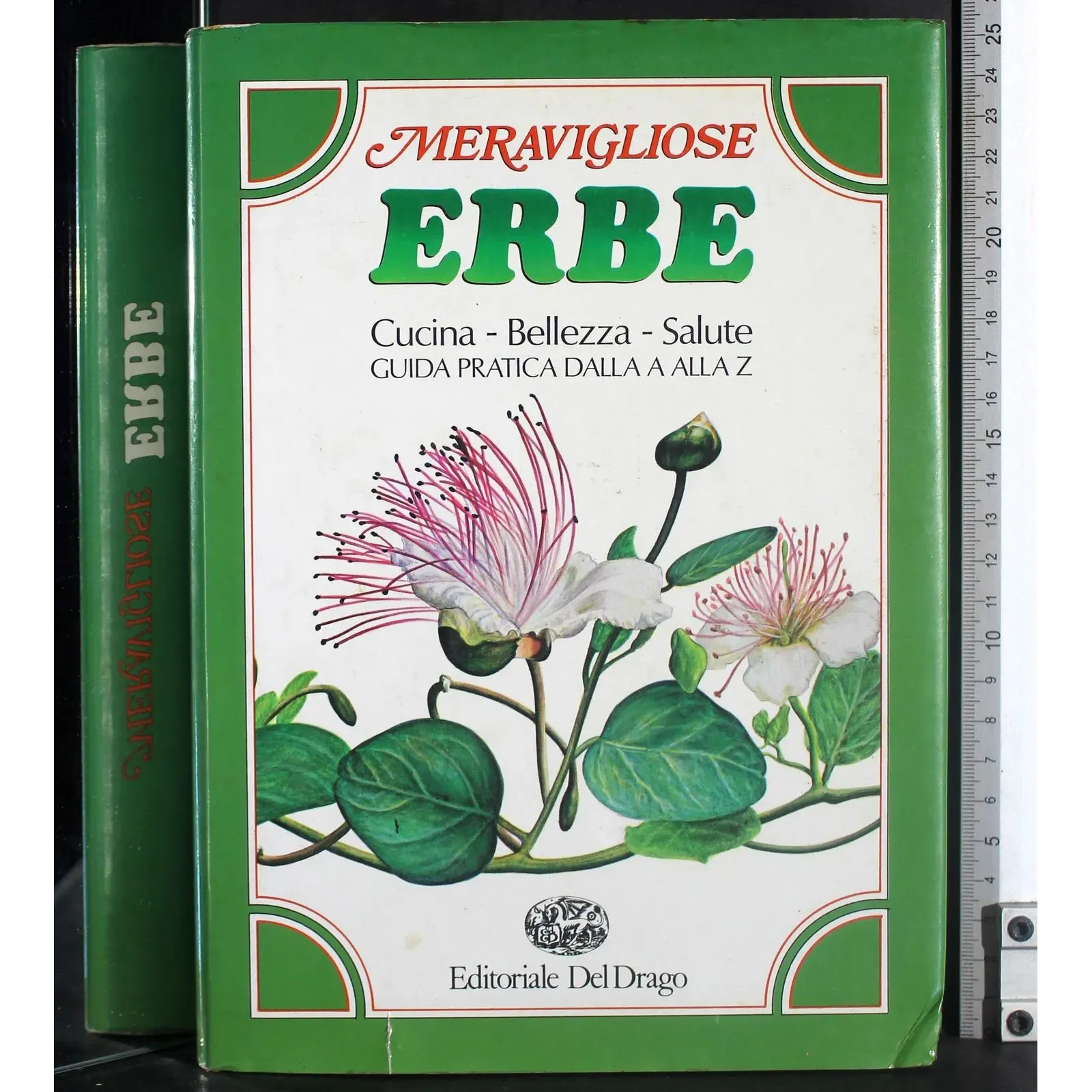 Meravigliose erbe
