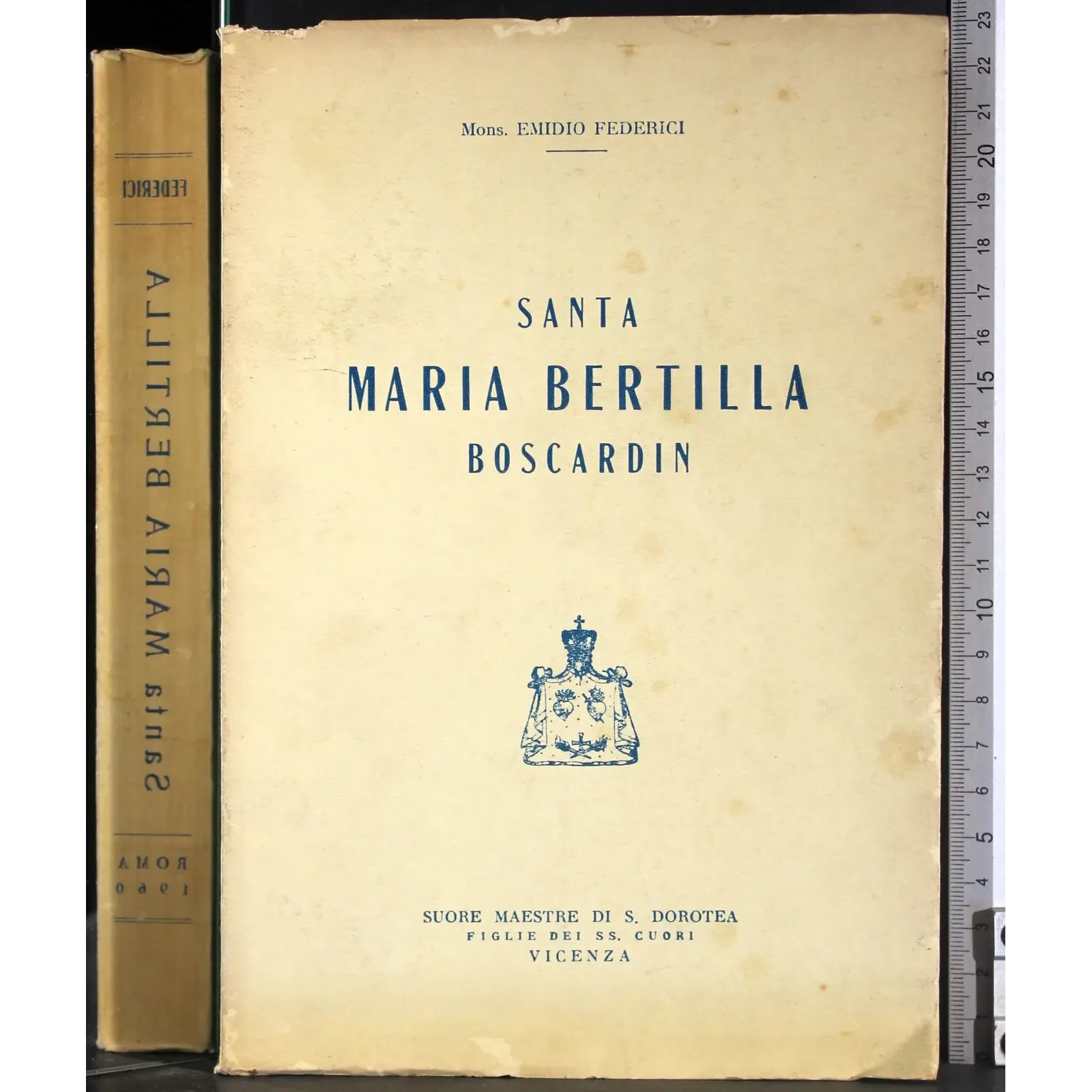 Santa Maria Bertilla Boscardin
