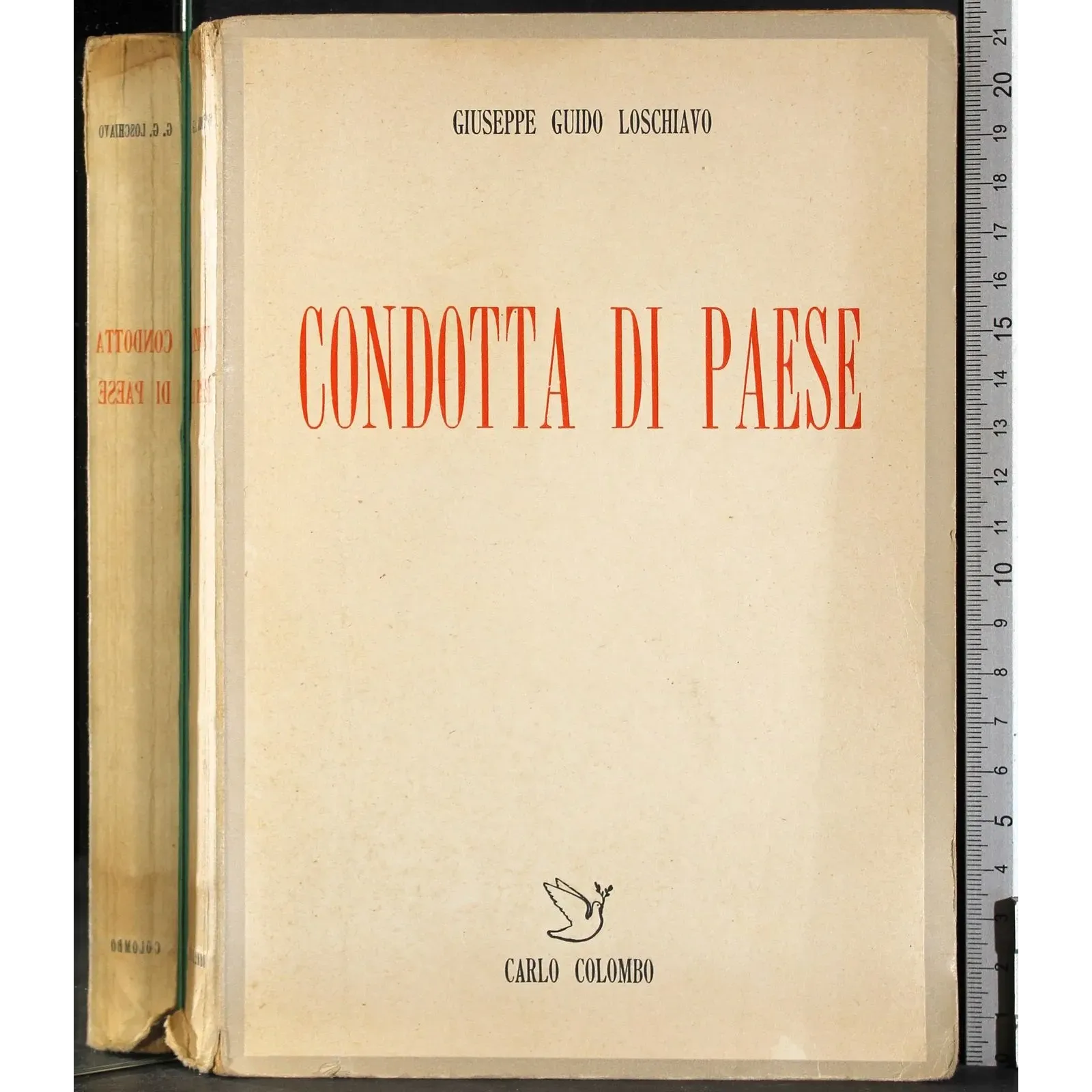 Condotta di paese