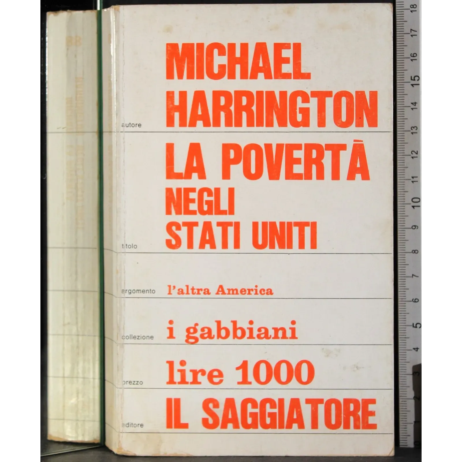 La povertà negli Stati Uniti