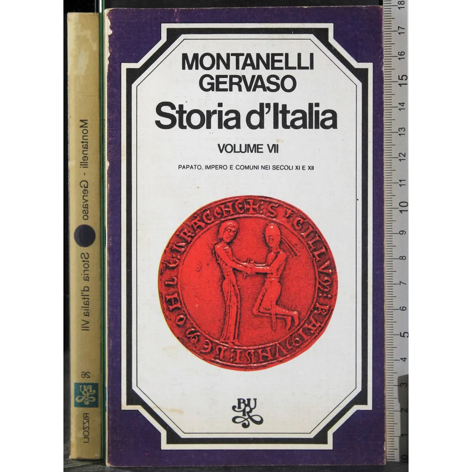 Storia d'Italia. Vol VII