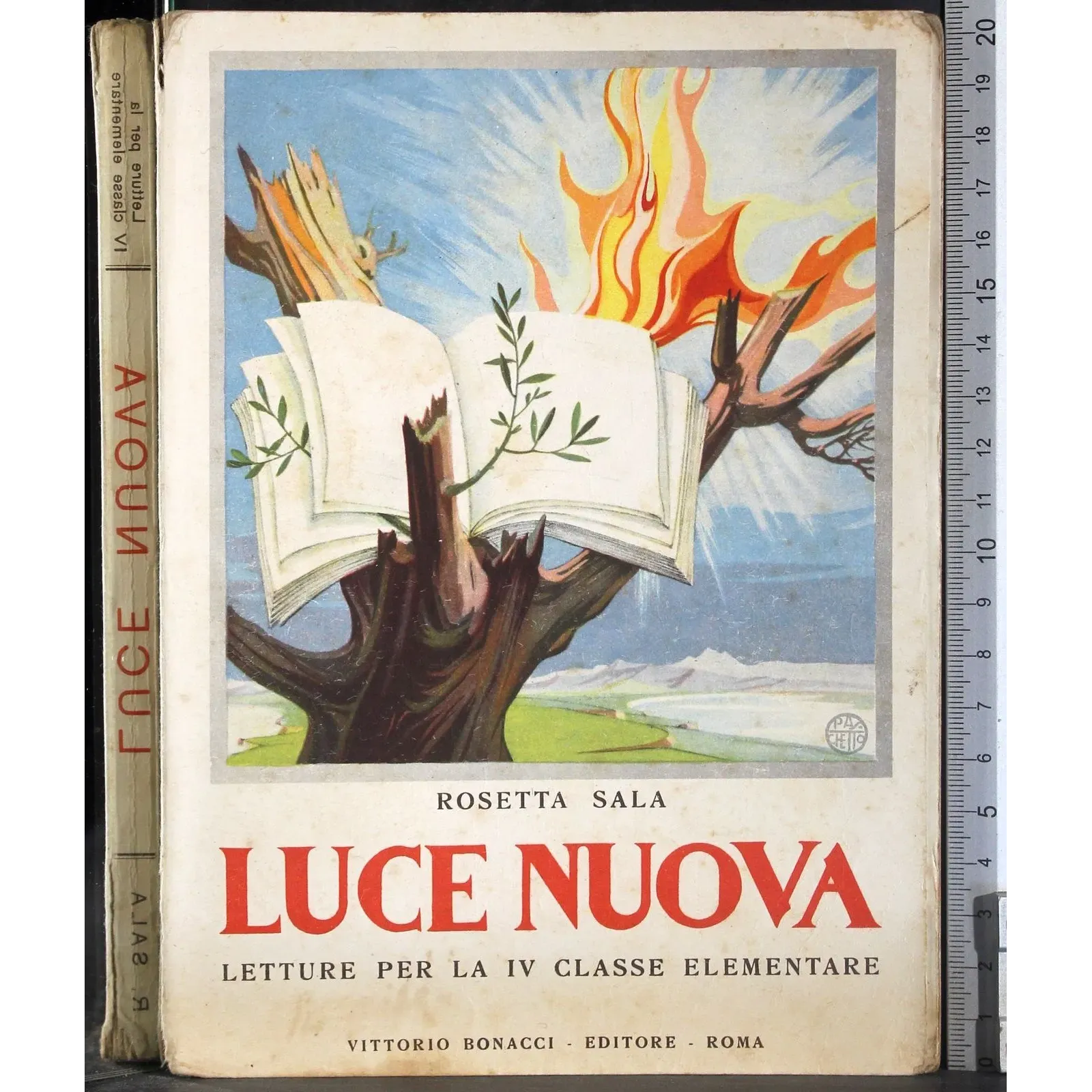 Luce nuova